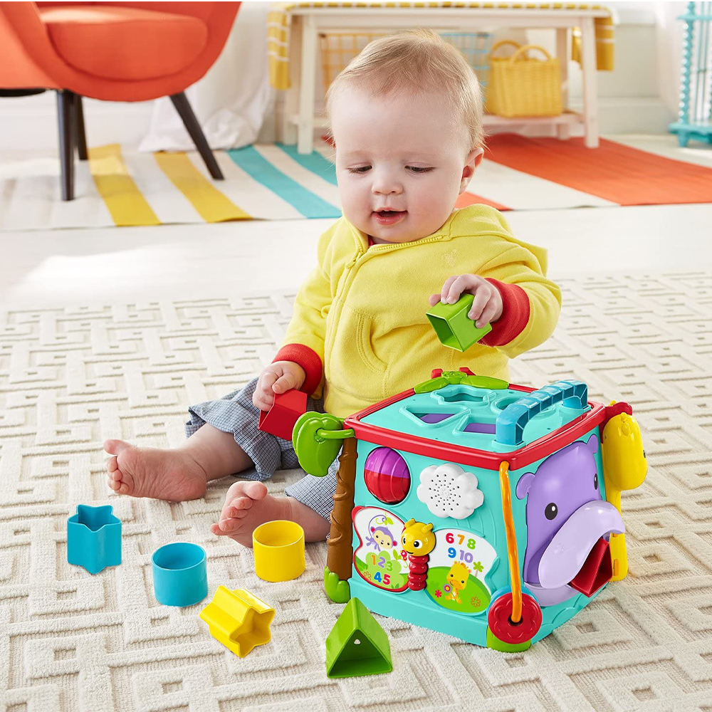 Fisher Price Infant Busy Box (6945530839239)