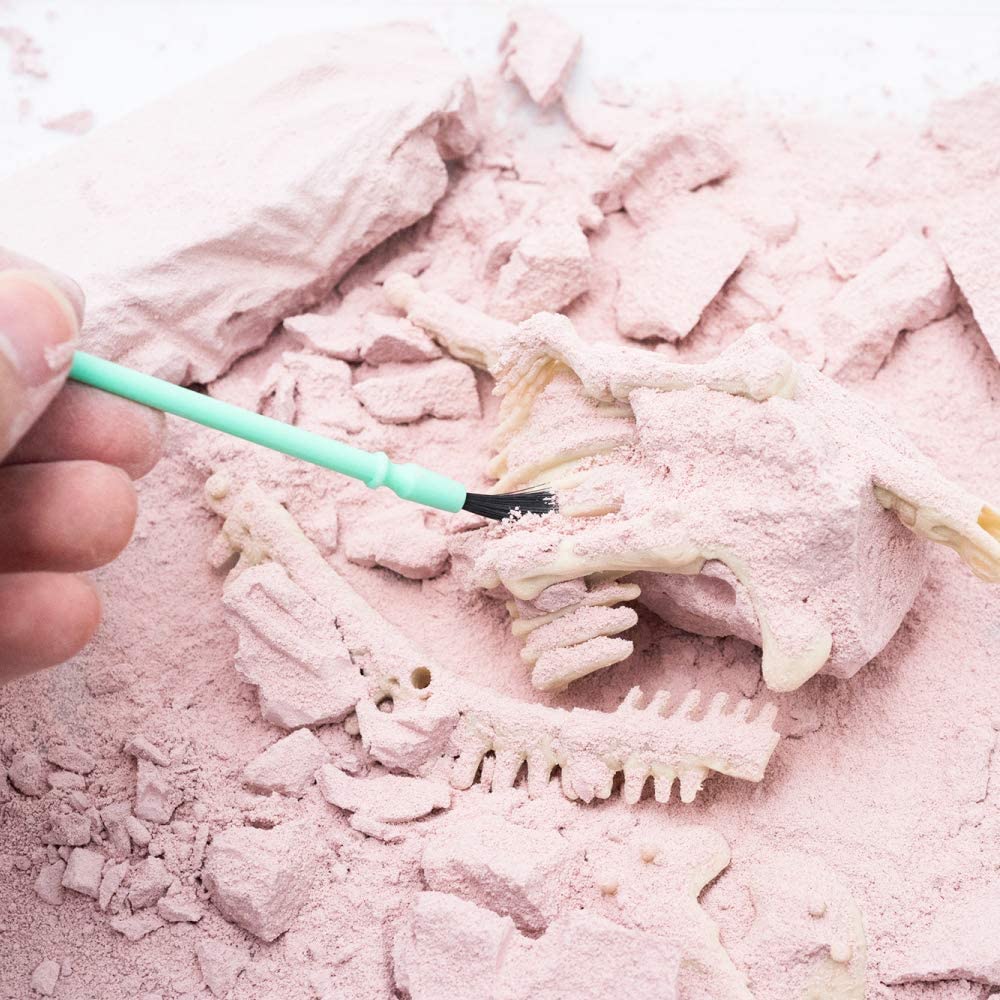 4M Kidz Labs Dig A Stegosaurus Skeleton (7079448772807)