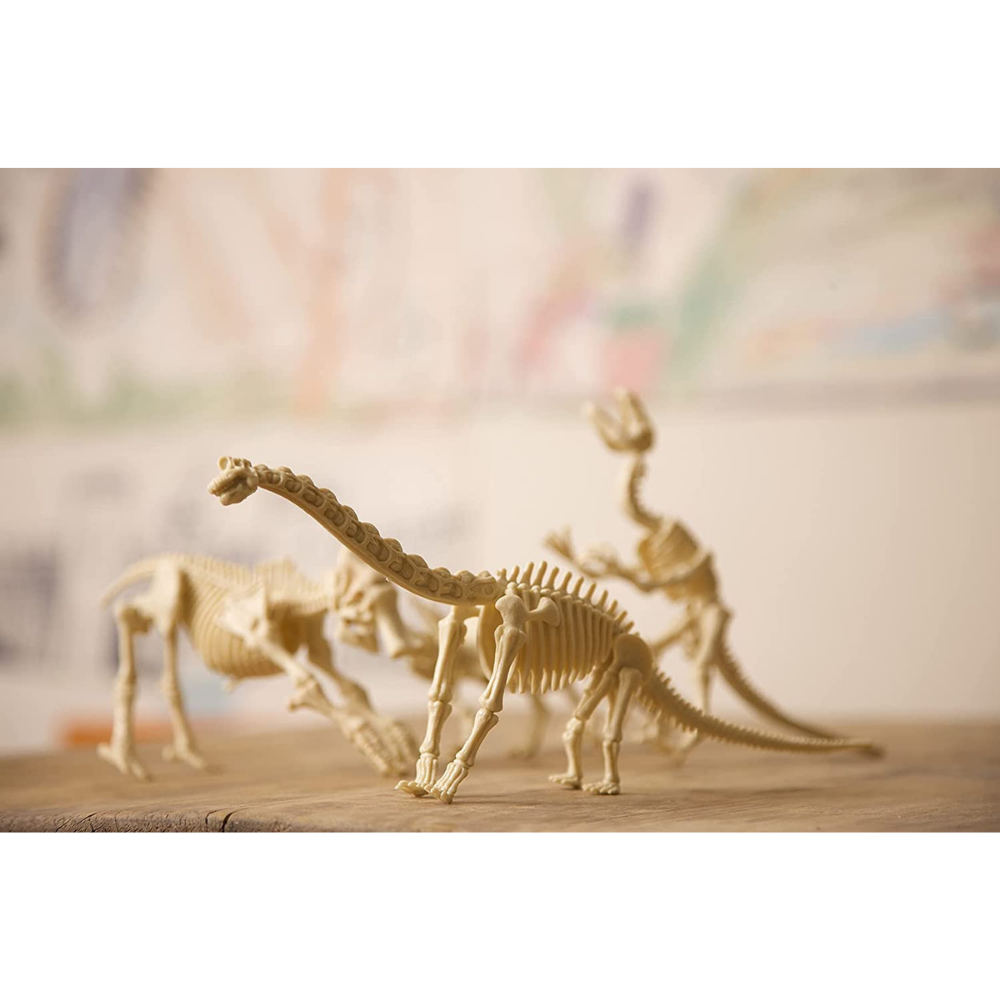 4M Kidz Labs Dig A Stegosaurus Skeleton (7079448772807)